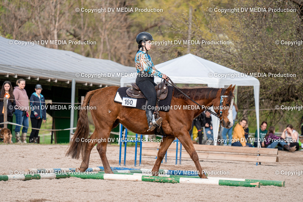 BAL02802 | dv-media-shop - Realisiert mit Pictrs.com