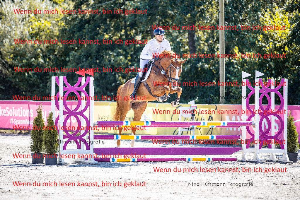 BK1A5517 | Turnierbilder Turnierfotos Nina Hüffmann Turnierfotografie Pferdefotografie Tierzeichnung Haustierzeichnung Pferdezeichnung Hundezeichnung Videograf  - Realisiert mit Pictrs.com