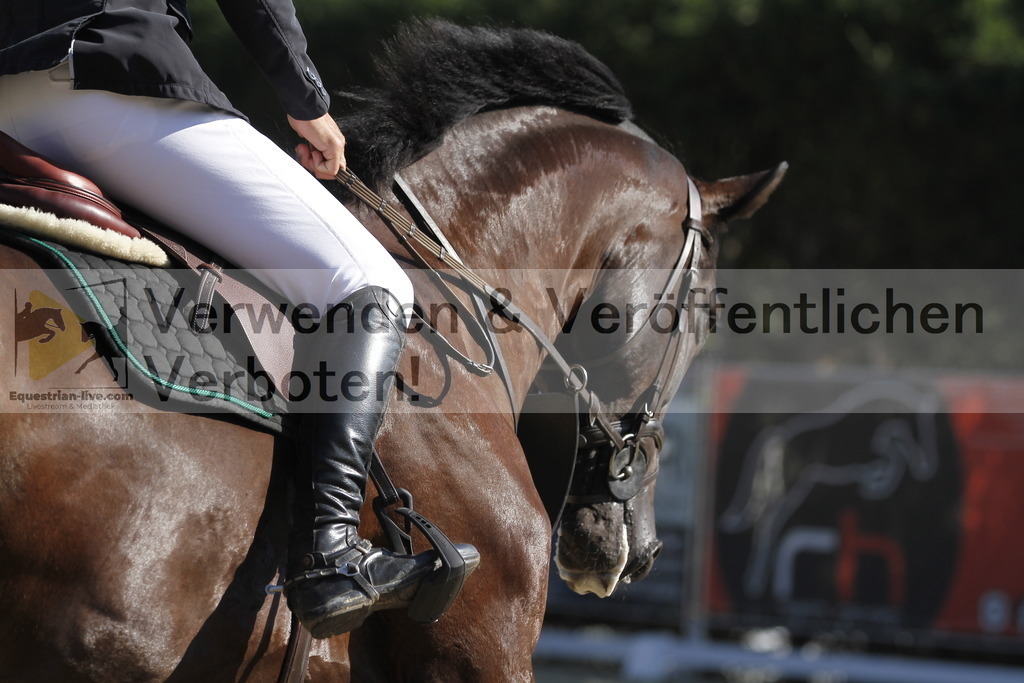 _MG_7815 | equestrian-live-com