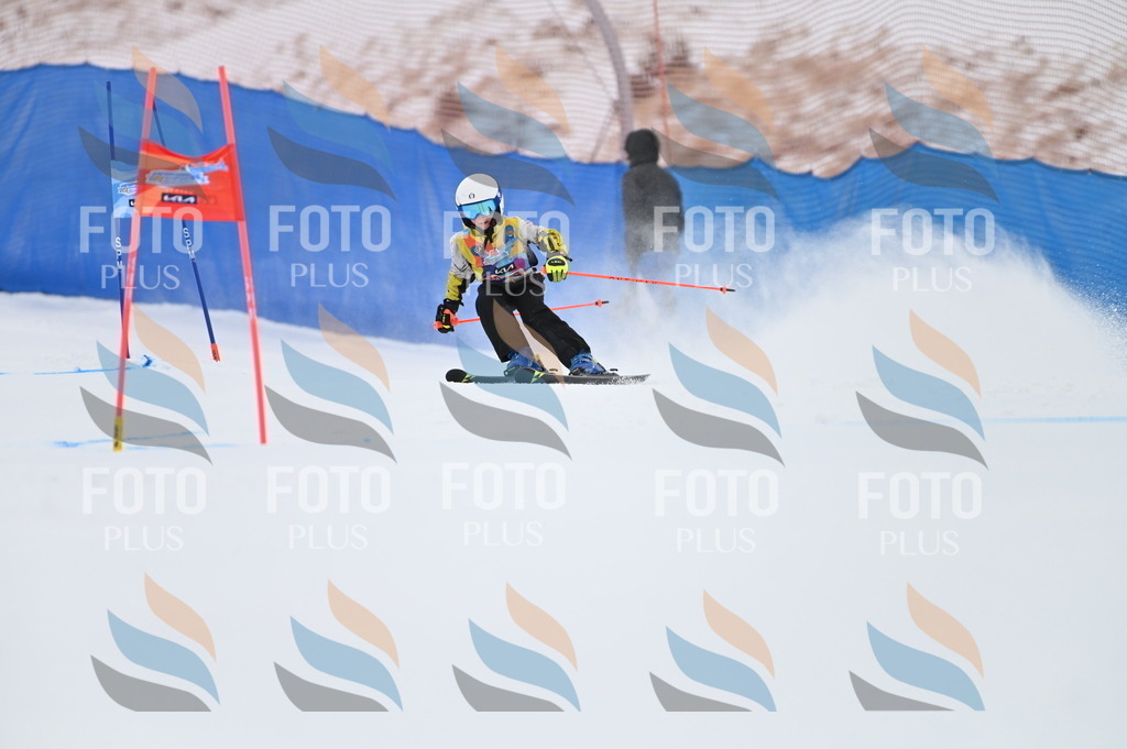 BGV_3314 | holidayphoto