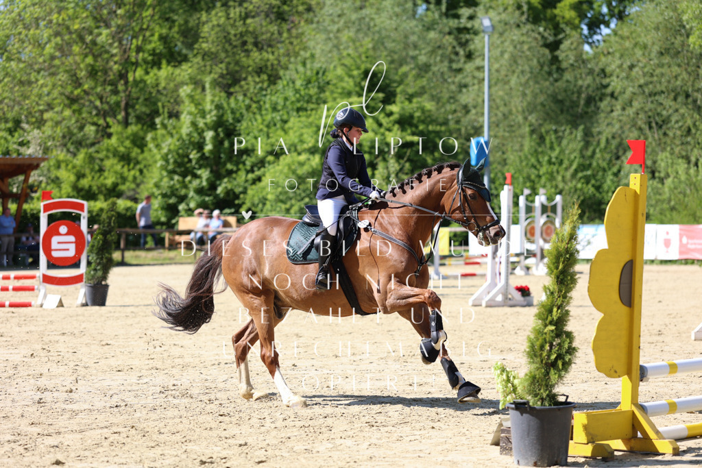 IMGS4640 | pl-fotografie