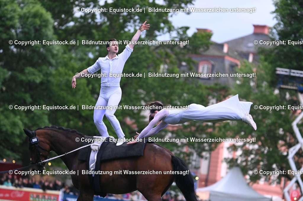 20240517_Lange-Pferdenacht_0406 | Foto: Thomas Hartig