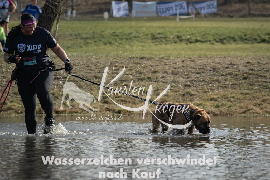 1254_ZZ92638 | kk-dogfotos