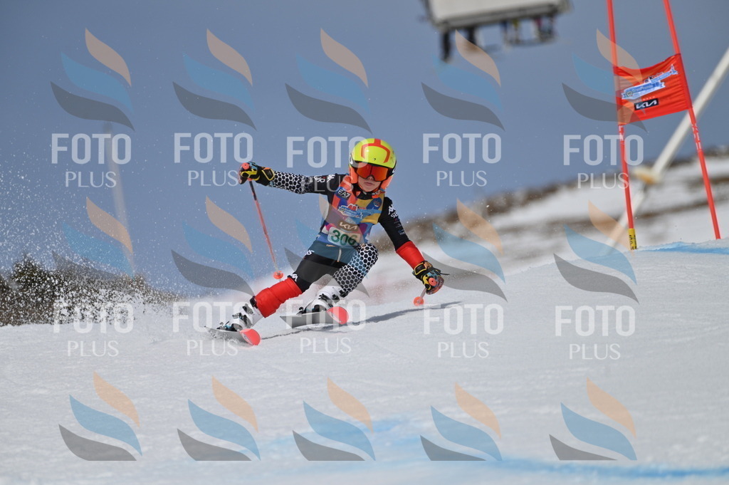 BGV_6060 | holidayphoto