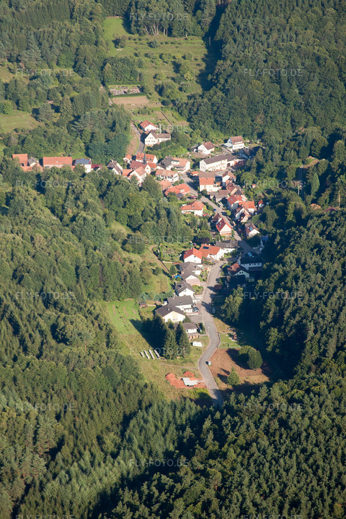 Luftbild: Dorfansicht in Dimbach im Bundesland Rheinland-Pfalz in Deutschland. Foto: IMG_30991.jpg vom 07.08.2010 durch Werner Riehm/FLY-FOTO.de