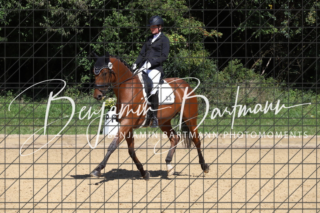 IMG_6361 | Benjamin Bartmann Photomoments