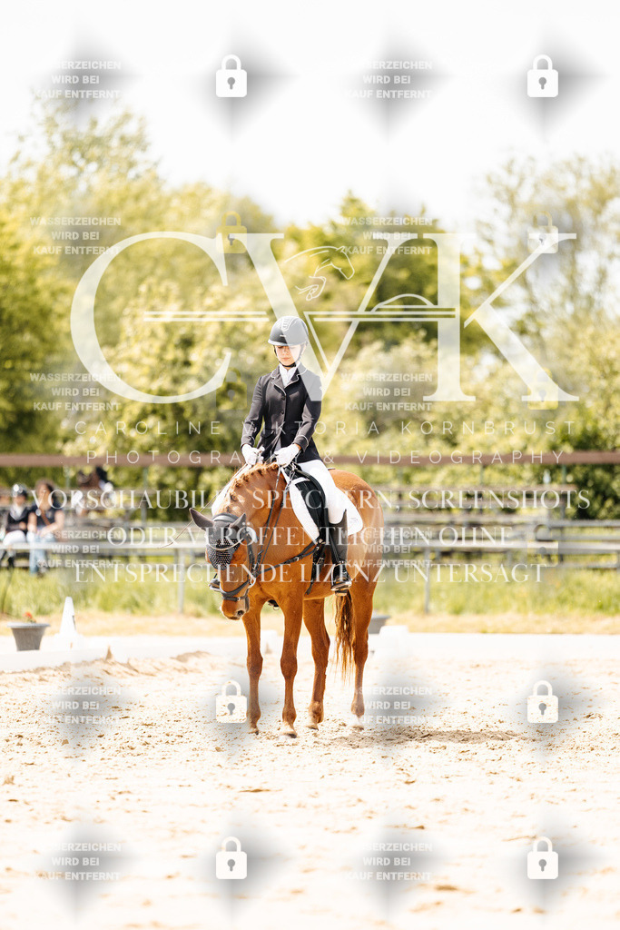 CK902429 | Turnierfotografie Pferdefotografie Trier Rheinland-Pfalz Pferdesport Reitsport Tierfotografie Sportfotografie Pferdevideo Pferdevideografie Equestrianvideography equestrianphotography  - Realisiert mit Pictrs.com