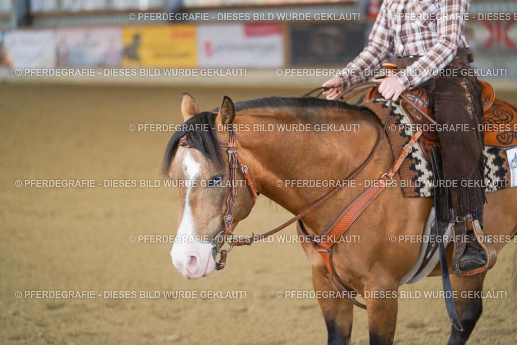 DSC06962 | Pferdegrafie