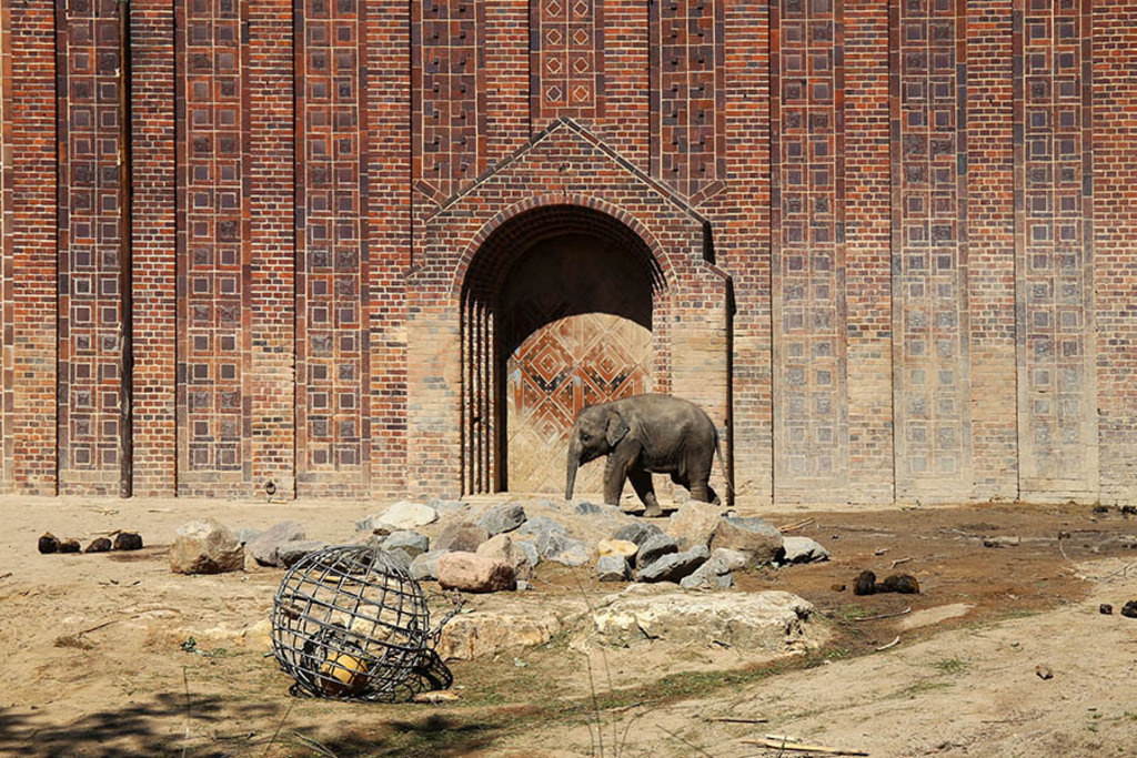 Elefantentempel Ganesha Mandir im Zoo | Entdecke über 20 Kategorien Leipzig-Motive: Foto-Downloads, hochwertige Poster, Leinwand- & Fine-Art-Prints. Jetzt Lieblingsfoto im Bildlexikon Leipzig Shop bestellen!