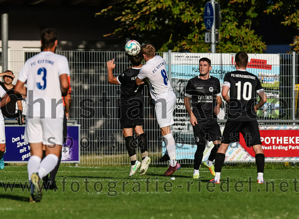 2023-07-18_036_FC_Herzogstadt_gegen_FC_Eitting | Erding, Deutschland, 18.07.2023:
Fußball, TOTO Pokal 2023 / 2024, 1. Spieltag, FC Herzogstadt gegen FC Eitting, Endergebnis: 2:4 n.E.

Michael Fitzpatrick (FC Herzogstadt, #7), Jonas Heinritzi (FC Eitting, #8), Martin Golemic (FC Herzogstadt, #2), Daniel Karamatic (FC Herzogstadt, #10)

Foto: Christian Riedel / fotografie-riedel.net