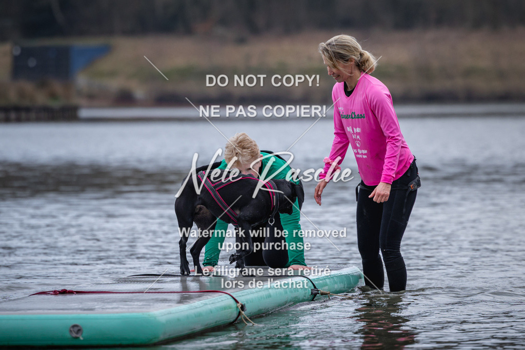 nelerasche_Hulsbeek_Sa1600-1700_417 | nelerasche