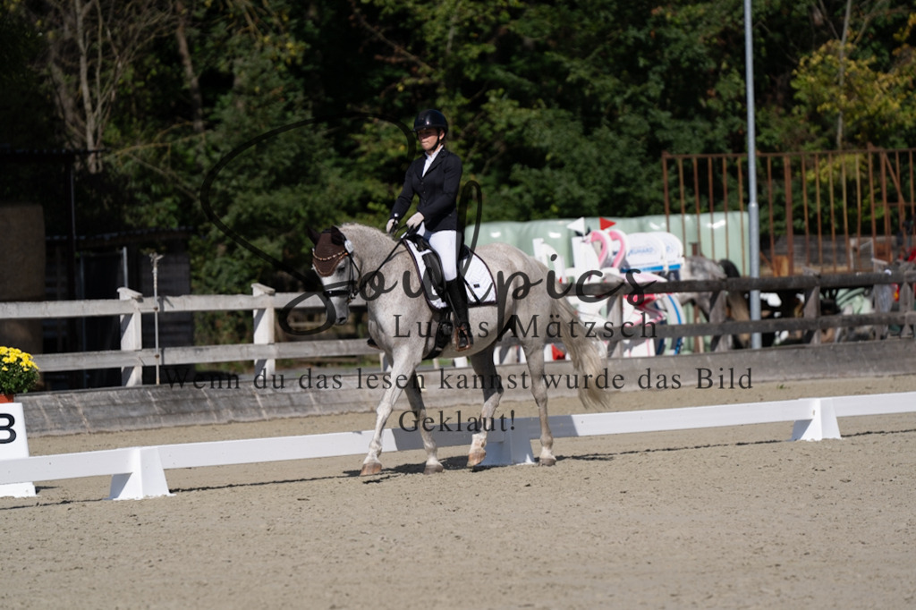 A7V07039 | Turnier/Reitfotograf
