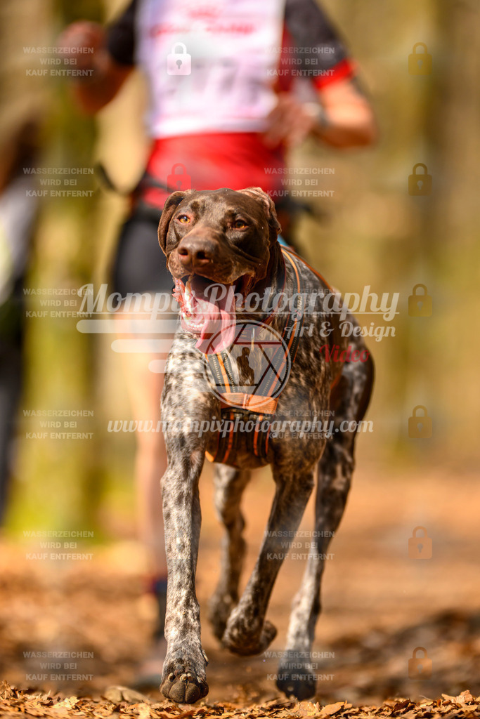 MompixPhotography_Habay2025_SA_CCC-103 | PayLife