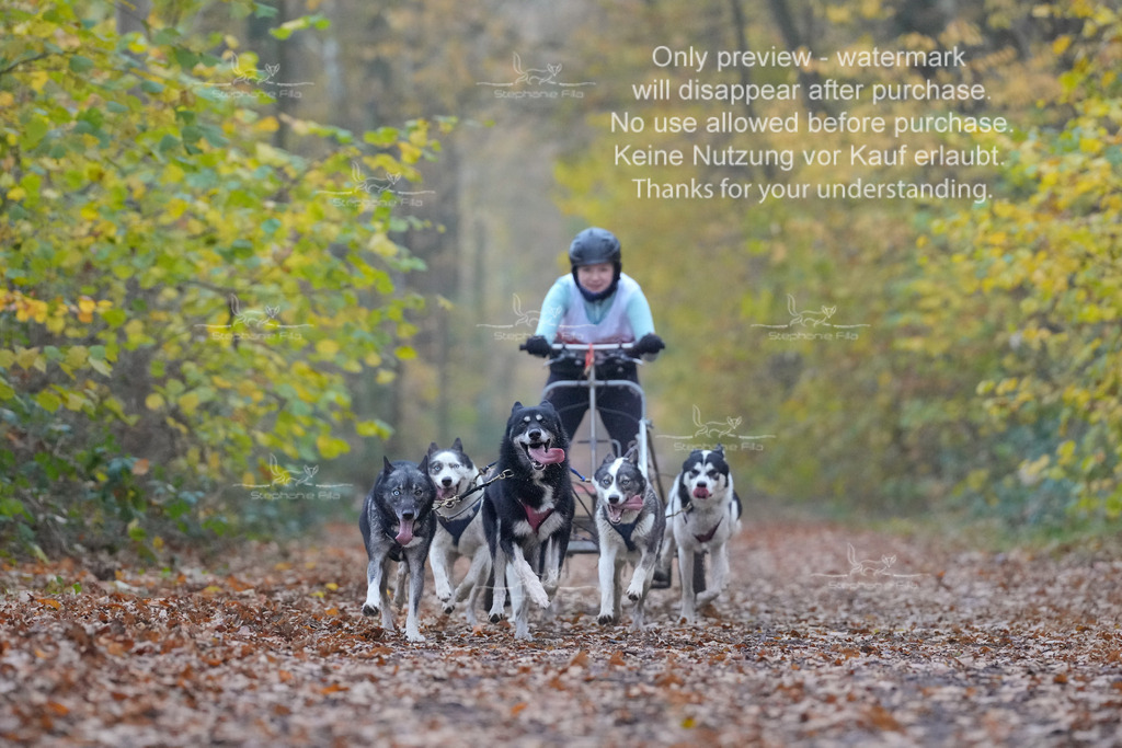 Rigs4bis8So-88 | stephaniefillaphotographie - Realisiert mit Pictrs.com