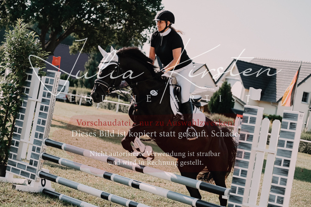 DSC_4763 | Pferde- und Turnierfotografie in Westsachsen. Pferdeportraits, Auftragszeichnungen und intuitive Kunst.