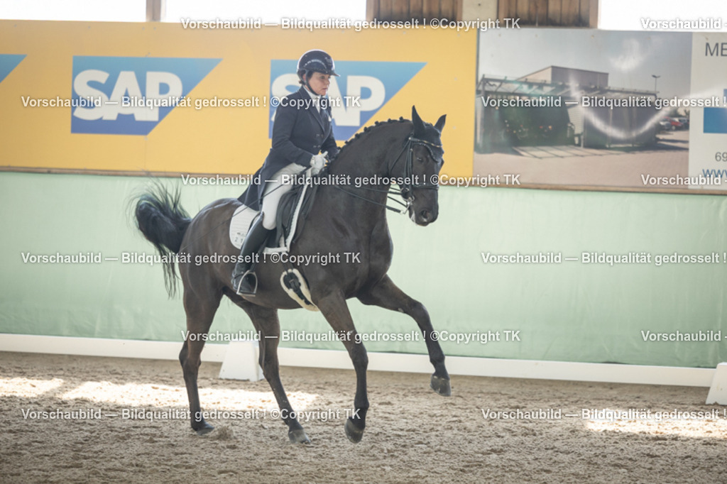 _D5A1589 | Emotionale Pferde- & People-Fotografie rund um Heidelberg, Leimen & Umgebung. Natürliche Fotos von Pferd, Mensch & Familie. Jetzt Termin sichern!