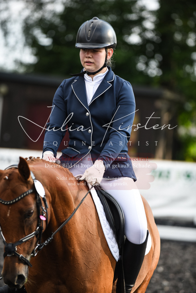 DSC_3446 | Pferde- und Turnierfotografie in Westsachsen. Pferdeportraits, Auftragszeichnungen und intuitive Kunst.