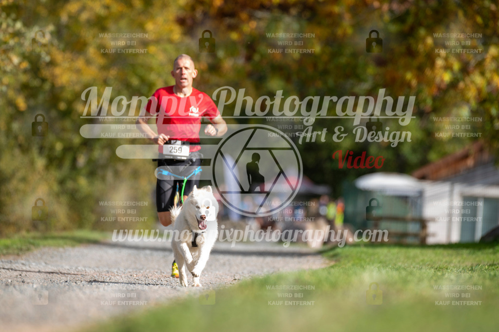 TSB_2023_E2_Canicross-74 | mompixphotography