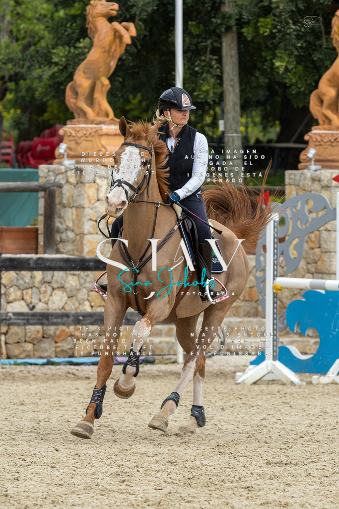 IMG_4796 | s-jay-photography - Realisiert mit Pictrs.com