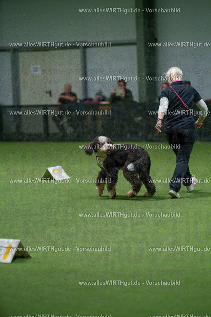 7R508058 | Professionelle Tierfotografie in Mönchengladbach von Daniel Wirth (allesWIRTHgut). Liebevolle & natürliche Bilder von Hunden & Katzen für unvergessliche Erinnerungen.