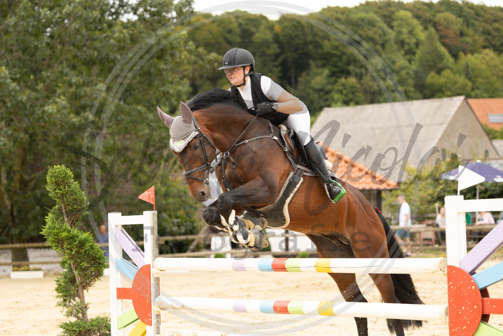 994A9492 | sabrinanicolaifotografie - Realisiert mit Pictrs.com