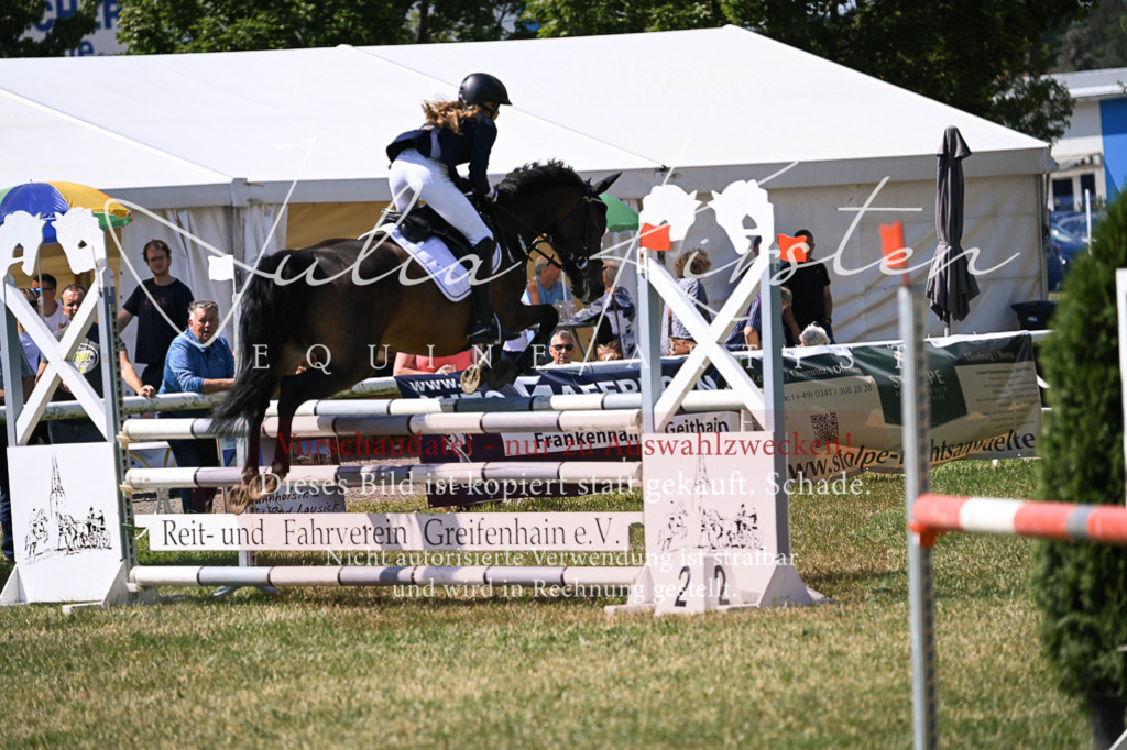 DSC_0400 | Pferde- und Turnierfotografie in Westsachsen. Pferdeportraits, Auftragszeichnungen und intuitive Kunst.