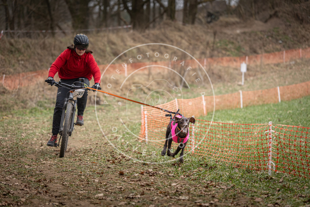 Pfotenfotografie_DV3A5128 | Hundefotografie, Tierfotograf, Pfotenfotografie, Fotoshooting Hund, Hunde Portrait, Hundesport, Hundeportraits, Heideshooting, Hunde, Sportfotograf, Hundefotograf, Turnierhundsport, THS,  - Realisiert mit Pictrs.com