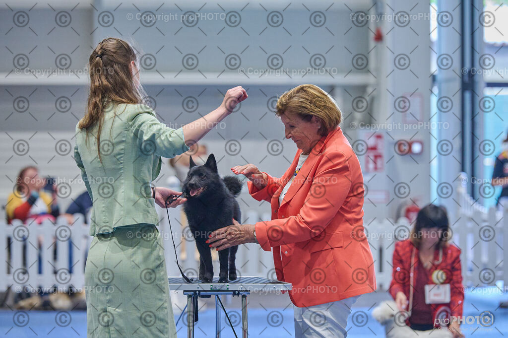 202406_ÖKV-IHA-Tulln24_DSC_5322 | proPHOTO - Realisiert mit Pictrs.com