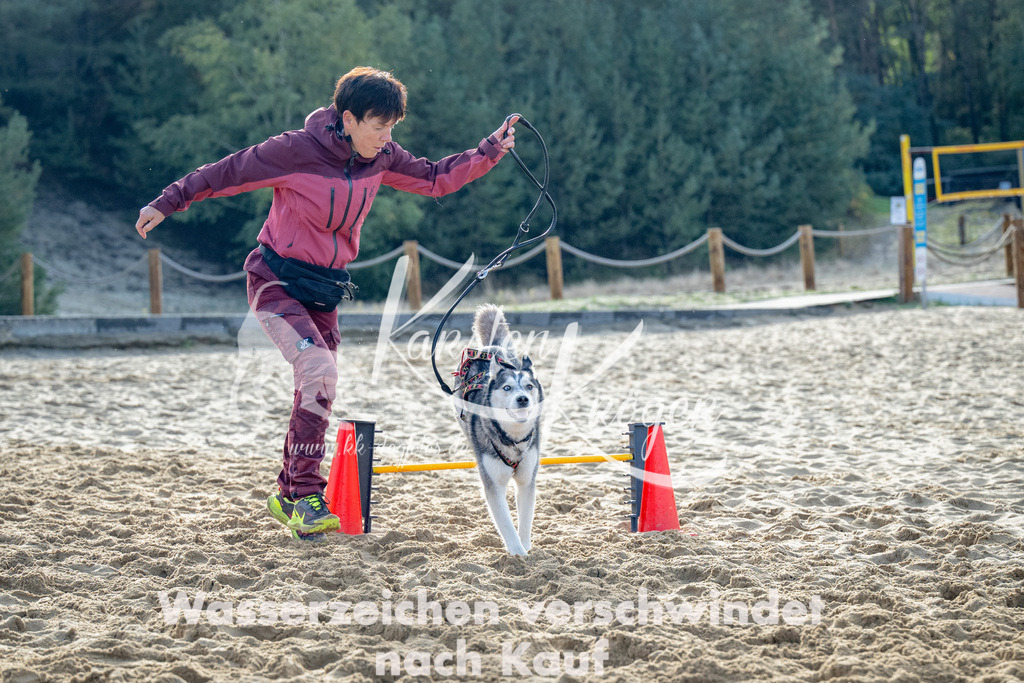 0951_ZZ92911 | kk-dogfotos