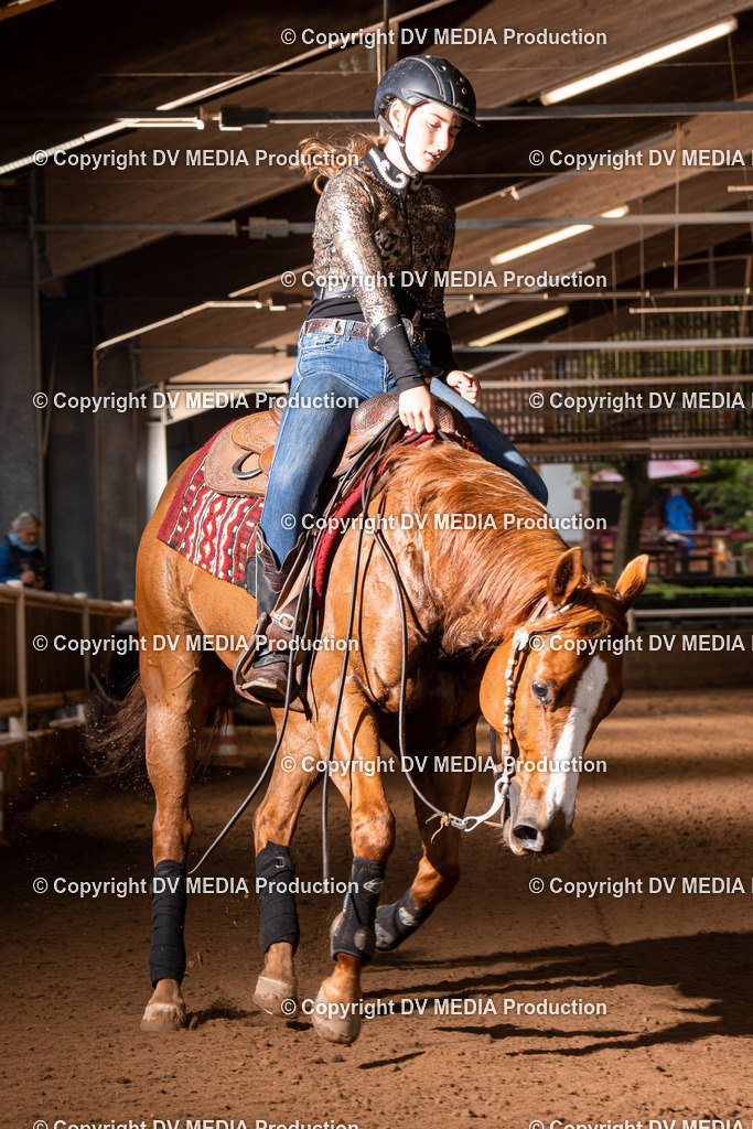 Erbach Tag 2-909 | dv-media-shop - Realisiert mit Pictrs.com