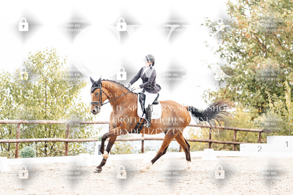 CK900834 | Turnierfotografie Pferdefotografie Trier Rheinland-Pfalz Pferdesport Reitsport Tierfotografie Sportfotografie Pferdevideo Pferdevideografie Equestrianvideography equestrianphotography  - Realisiert mit Pictrs.com