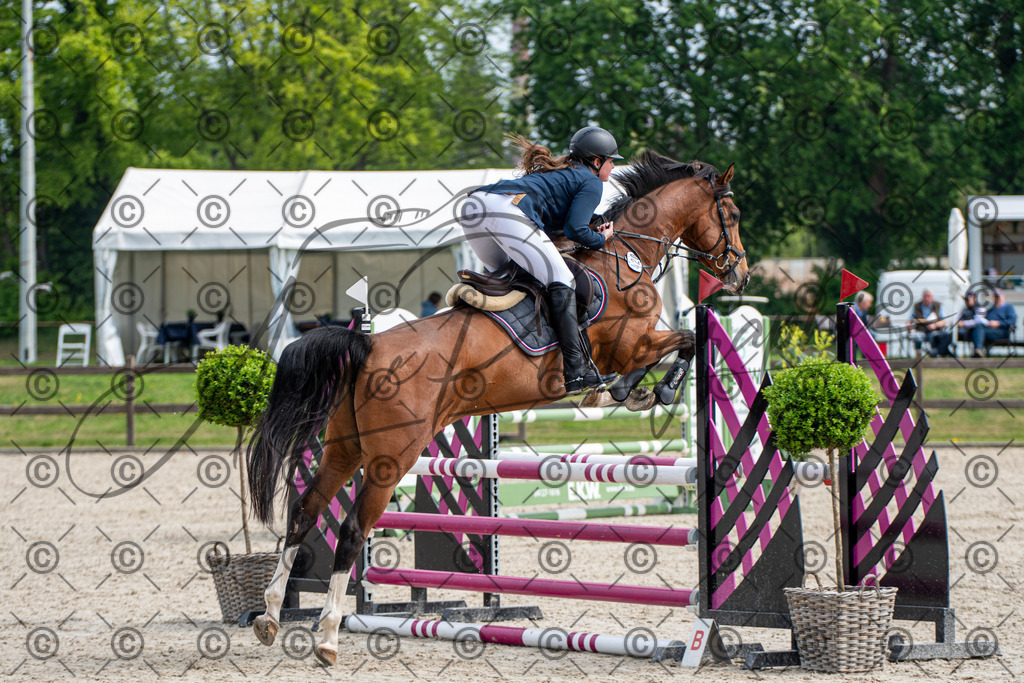 KPT_2572 | andre_photographic