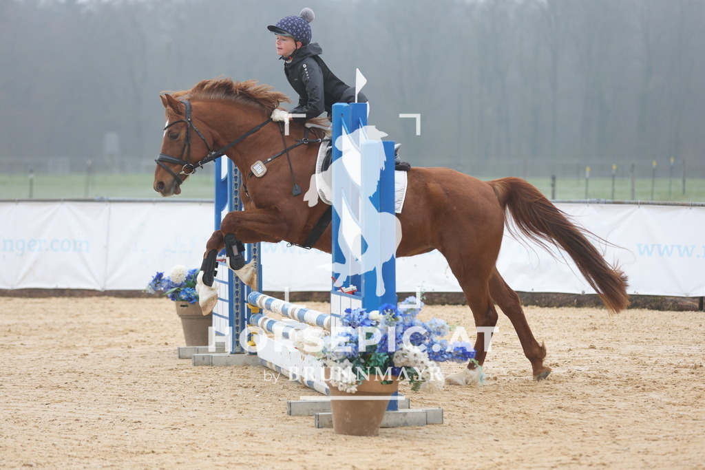 0P6A8233 | Willkommen bei Brunnmayr - Design & Fotografie – Ihrem Spezialisten für Reitturniere und Pferdeveranstaltungen in Oberösterreich, Salzburg und Bayern! Seit über 17 Jahren sind wir leidenschaftlich dabei.