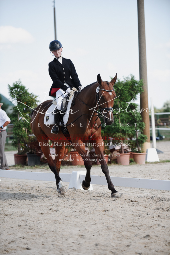 DSC_9951 | Pferde- und Turnierfotografie in Westsachsen. Pferdeportraits, Auftragszeichnungen und intuitive Kunst.