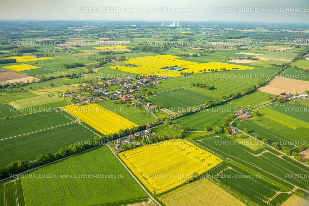 Hamm240502709 | Luftbild, Ortsteil Wambeln und grüne Wiesen und gelbe Rapsfelder, Biogasanlage Wambeln, Stadtbezirk Rhynern, Hamm, Ruhrgebiet, Nordrhein-Westfalen, Deutschland