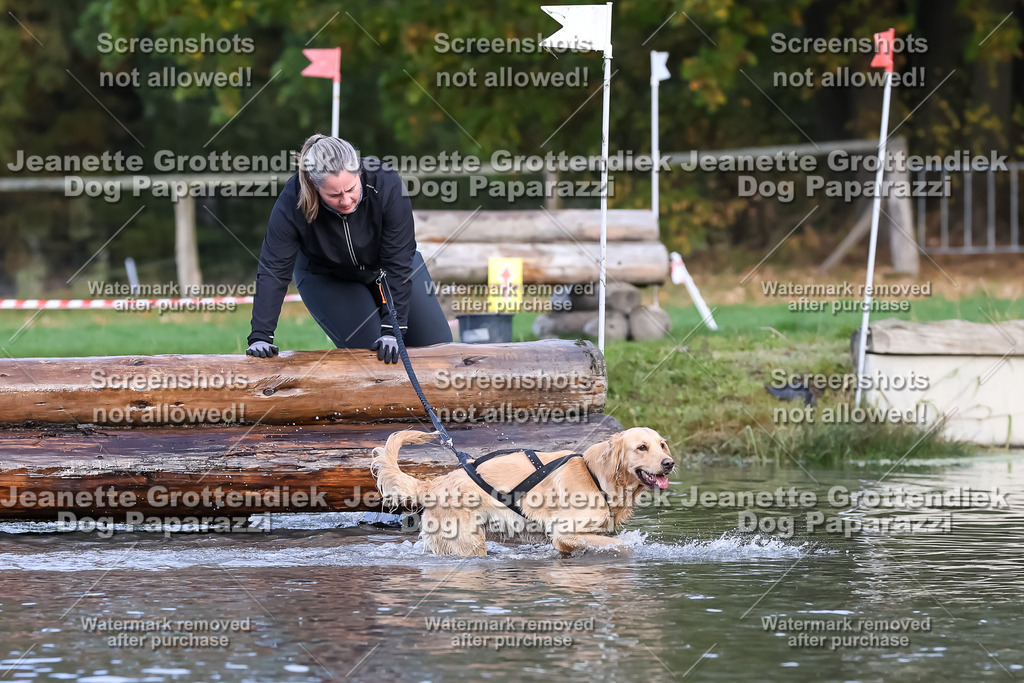 Dog Paparazzi - Strongdog 10-25-6955 | Dog Paparazzi Jeanette Grottendiek Fotografie & Videografie - Realisiert mit Pictrs.com