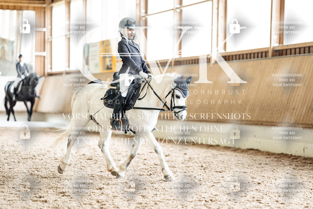 CK900912 | Turnierfotografie Pferdefotografie Trier Rheinland-Pfalz Pferdesport Reitsport Tierfotografie Sportfotografie Pferdevideo Pferdevideografie Equestrianvideography equestrianphotography  - Realisiert mit Pictrs.com