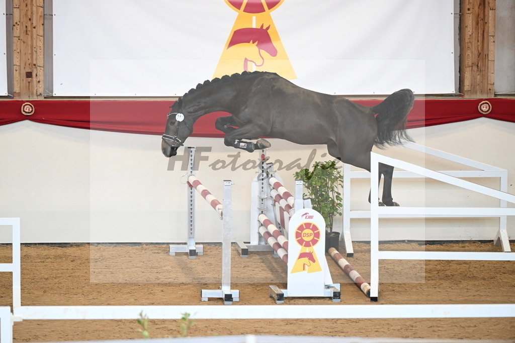 Kat.-Nr. 11 v. Cicero Z_Schill_2251061 | hf-fotografie - Realisiert mit Pictrs.com