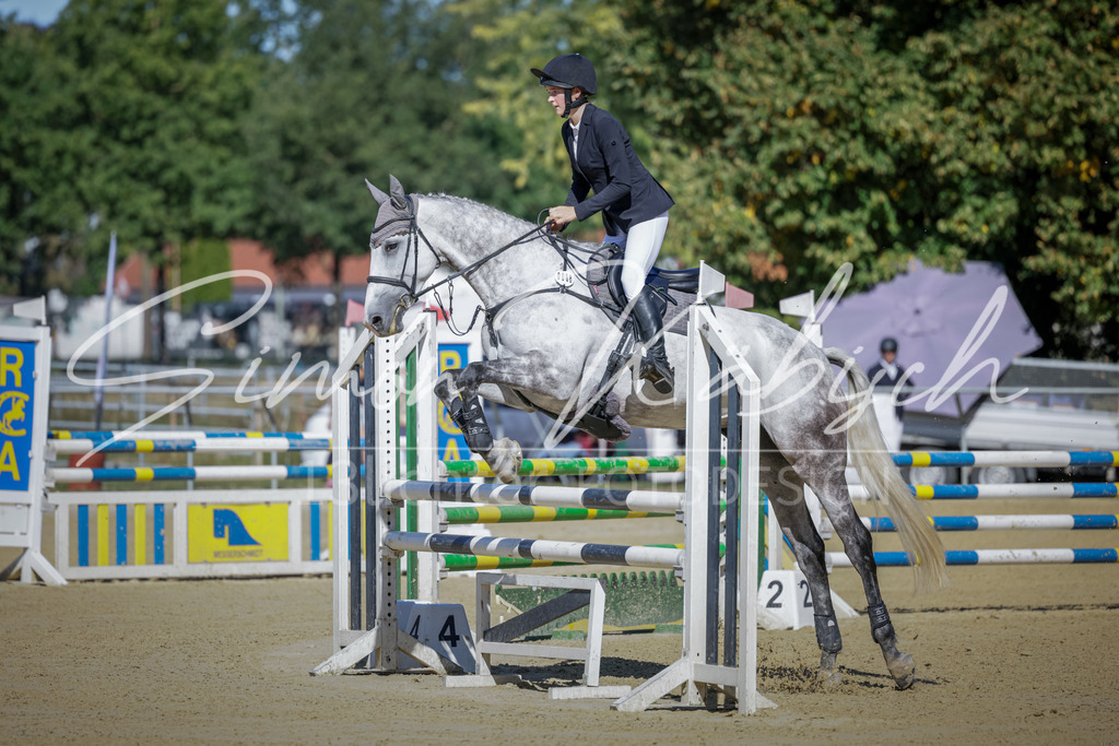 20250906-_3LI3647 | Tierfotografie Pferde, Hunde, Katzen, Haustiere.
Turnierfotografie Reitturniere, Reiten, Springreiten, Dressur in Hanau, dem Main-Kinzig-Kreis und dem Rhein-Main- Gebiet um Frankfurt