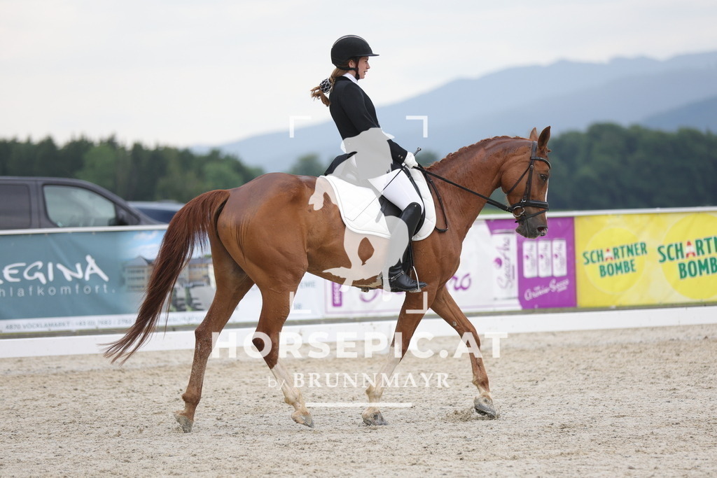 0P6A3601 | Willkommen bei Brunnmayr - Design & Fotografie – Ihrem Spezialisten für Reitturniere und Pferdeveranstaltungen in Oberösterreich, Salzburg und Bayern! Seit über 17 Jahren sind wir leidenschaftlich dabei.