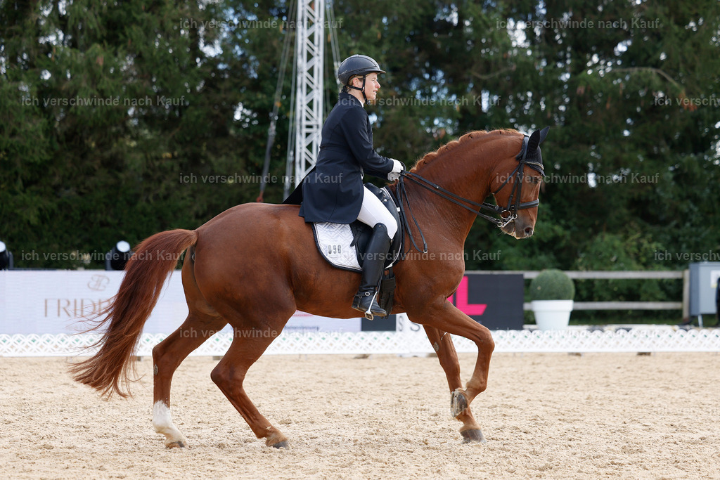 09_2-090-DRESSUR  S_  -StoibPH-5848 | working equitationturnier fotograf videograf stoibphotography marixx film working equitation deutschland reitsport turnierfotografie eventfotografie equestrian events