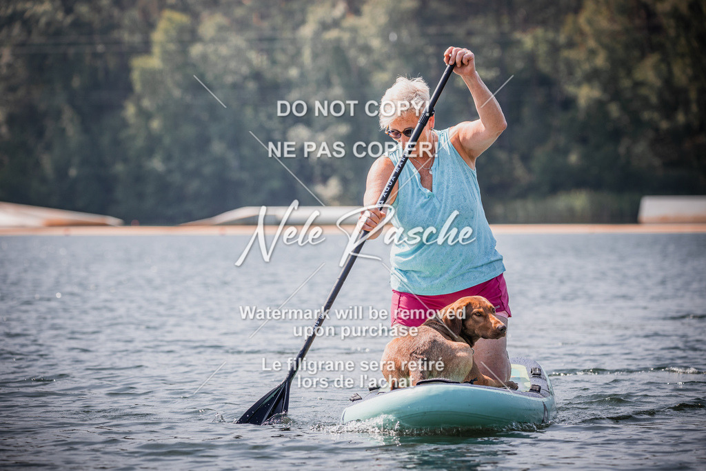 BUHU_SUP_501 | nelerasche