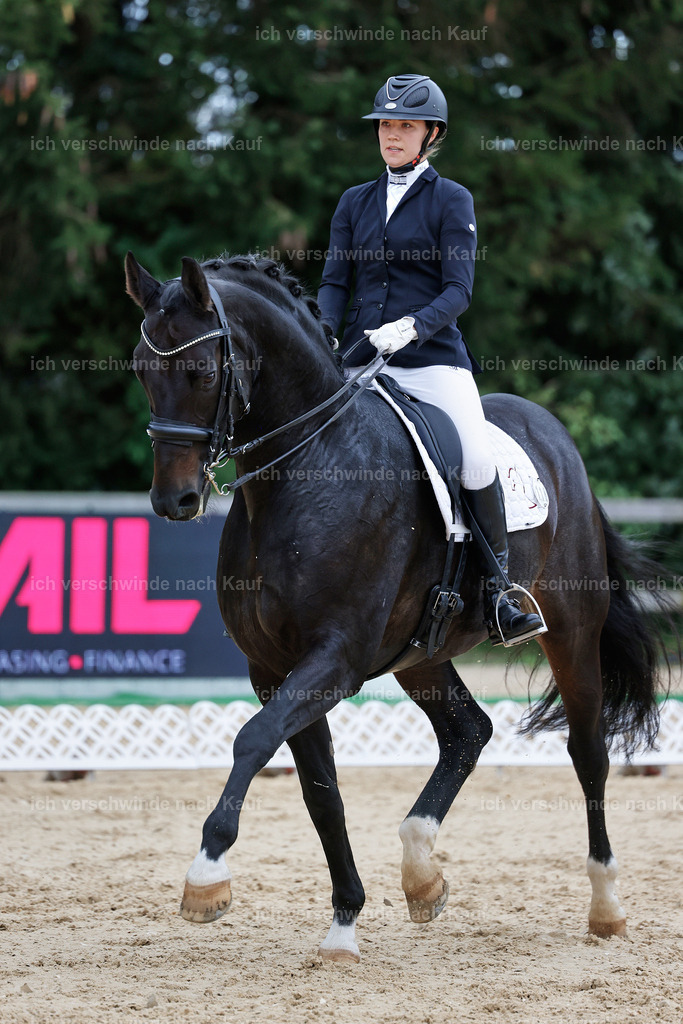 04_1-118-Dressur M__ -StoibPH-StoibPH-2669 | working equitationturnier fotograf videograf stoibphotography marixx film working equitation deutschland reitsport turnierfotografie eventfotografie equestrian events