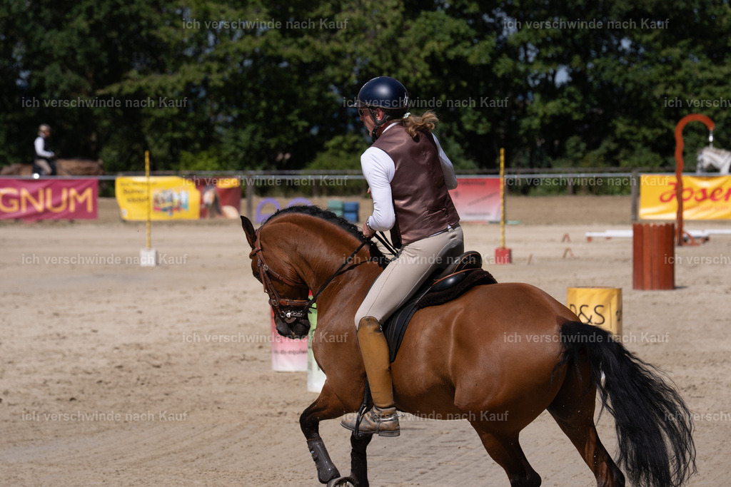 WS_SP_62_SinaFilmArt_IN08178 | working equitationturnier fotograf videograf stoibphotography marixx film working equitation deutschland reitsport turnierfotografie eventfotografie equestrian events