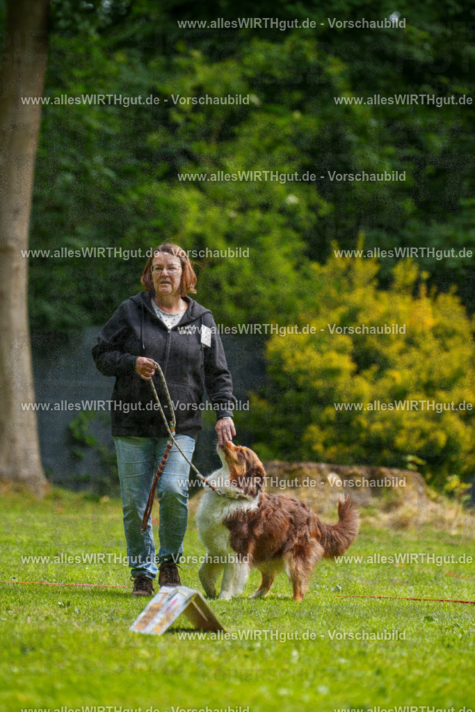 @allesWIRTHgut_Tierfotografie - www.allesWIRTHgut.de - 094742-7R507647 | Professionelle Tierfotografie in Mönchengladbach von Daniel Wirth (allesWIRTHgut). Liebevolle & natürliche Bilder von Hunden & Katzen für unvergessliche Erinnerungen.