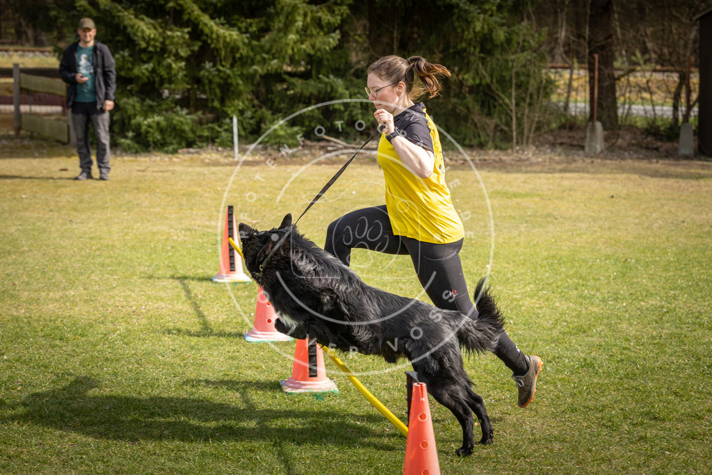 Pfotenfotografie_DV3A9582 | Hundefotografie, Tierfotograf, Pfotenfotografie, Fotoshooting Hund, Hunde Portrait, Hundesport, Hundeportraits, Heideshooting, Hunde, Sportfotograf, Hundefotograf, Turnierhundsport, THS,  - Realisiert mit Pictrs.com