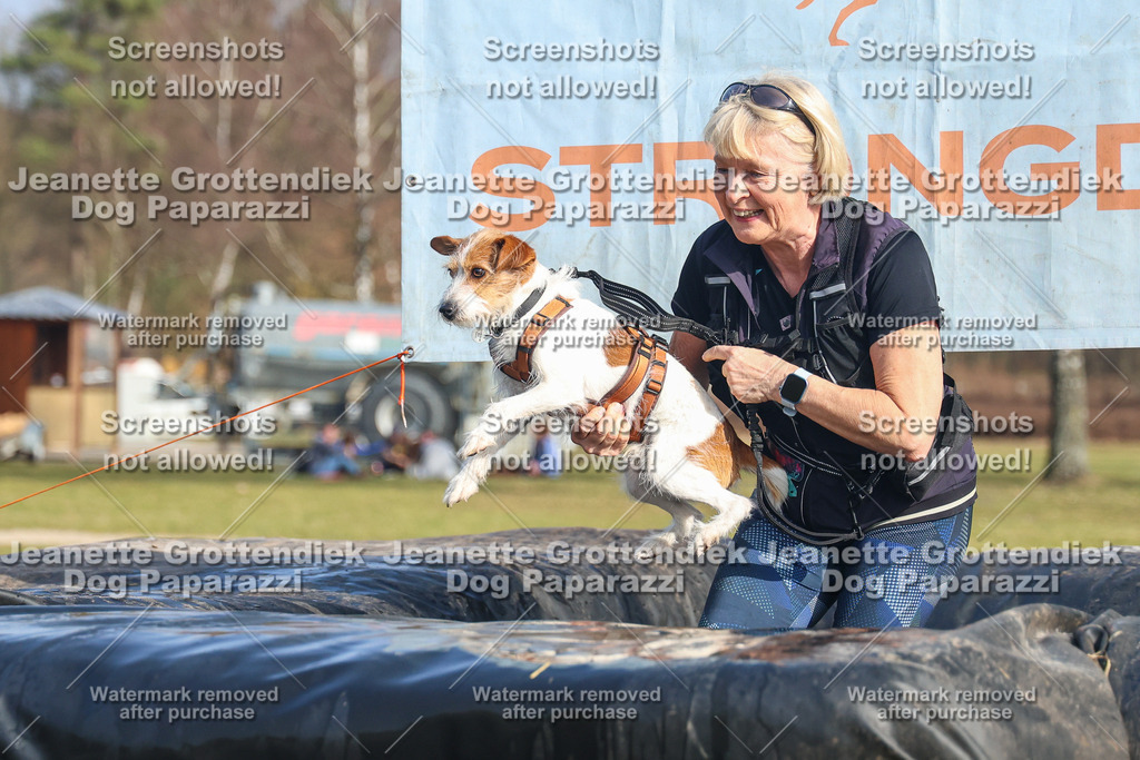 Dog Paparazzi - Strongdog North Mrz26-3047 | Dog Paparazzi Jeanette Grottendiek Fotografie & Videografie - Realisiert mit Pictrs.com