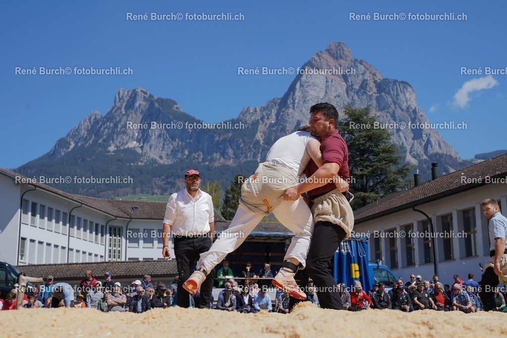 20220418-DSC03356 | René Burch leidenschaftlicher Fotograf aus Kerns in Obwalden.  Hier finden sie Sport, Landschaft und Natur Fotografie.
 - Realisiert mit Pictrs.com