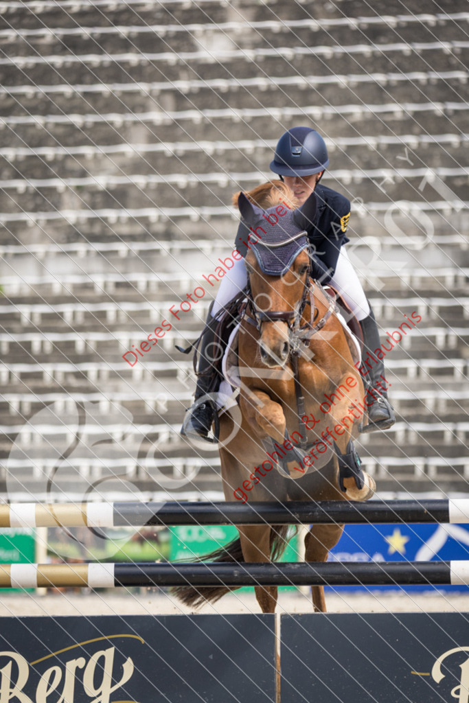 IMG_4679 | Sport-, Event- und Tierfotos in Profiqualität. Einfach auswählen, bestellen und herunterladen. Dein Moment – perfekt festgehalten.