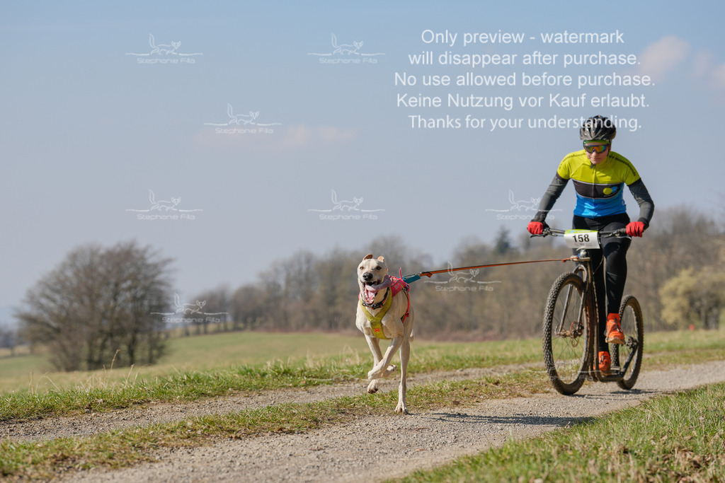 Scooter_Lang-110 | stephaniefillaphotographie - Realisiert mit Pictrs.com